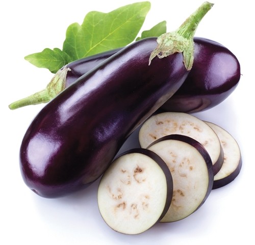 가지열매 추출물 건강보조식품 효능