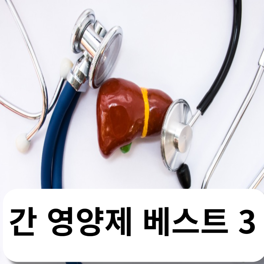 간영양제베스트3