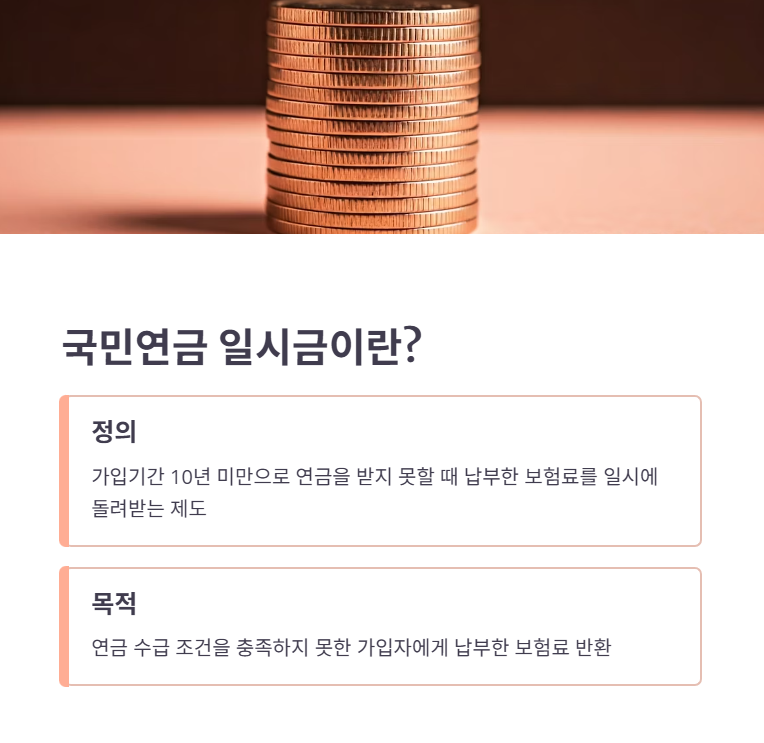 국민연금 일시금이란?