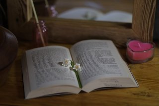 경기도 독서포인트제