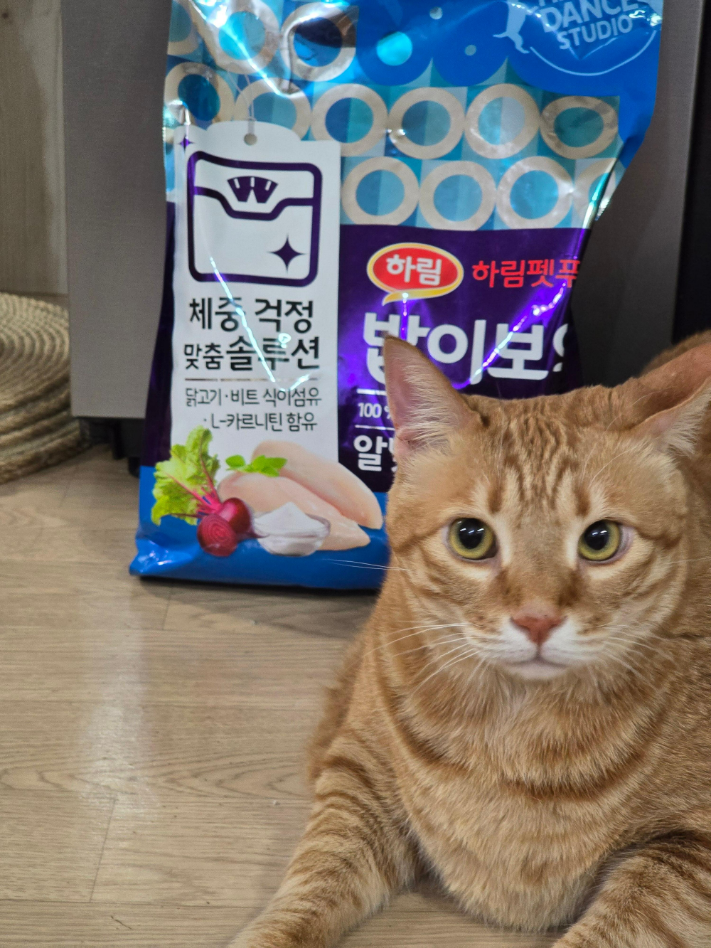 밥이보약 알맞은 체중3