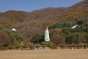 천진암 흰민들레 백양자연관찰로 괭이눈 개화_5