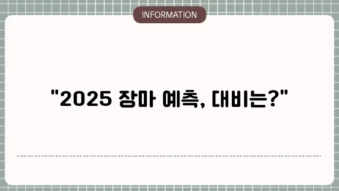 2025 장마의 특성