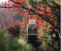 화담숲 초행자를 위한 완벽 가이드