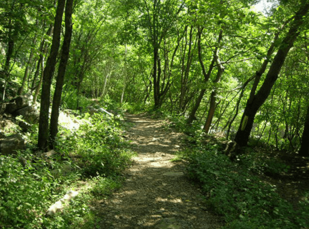 국립 가리왕산자연휴양림