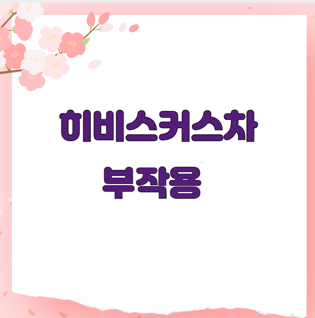 히비스커스차 부작용