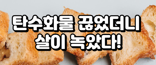 탄수화물 끊었더니 살이 녹았다!