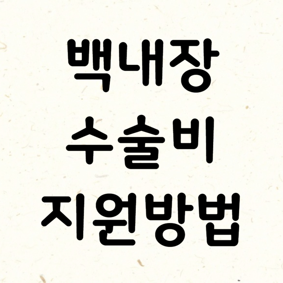 백내장수술비지원방법 이라고 써있는 이미지
