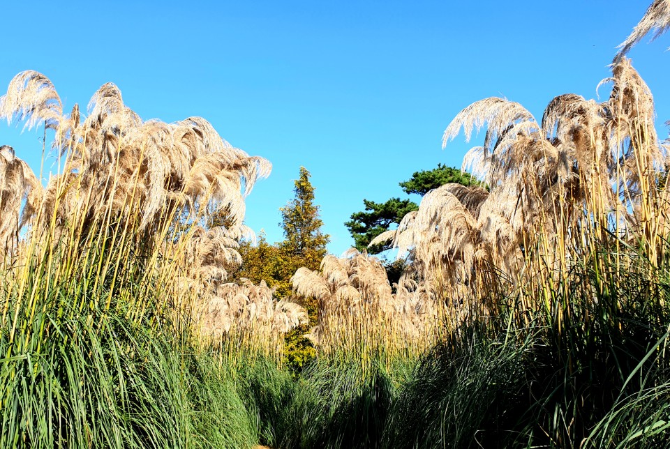 태안반도 추천여행지