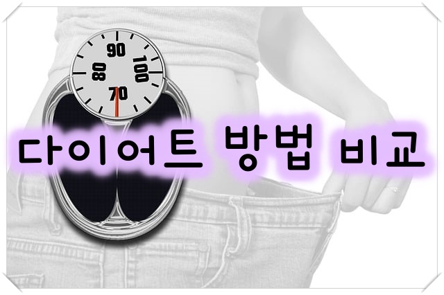 다이어트 방법 비교