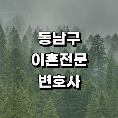 천안 동남구 이혼 변호사