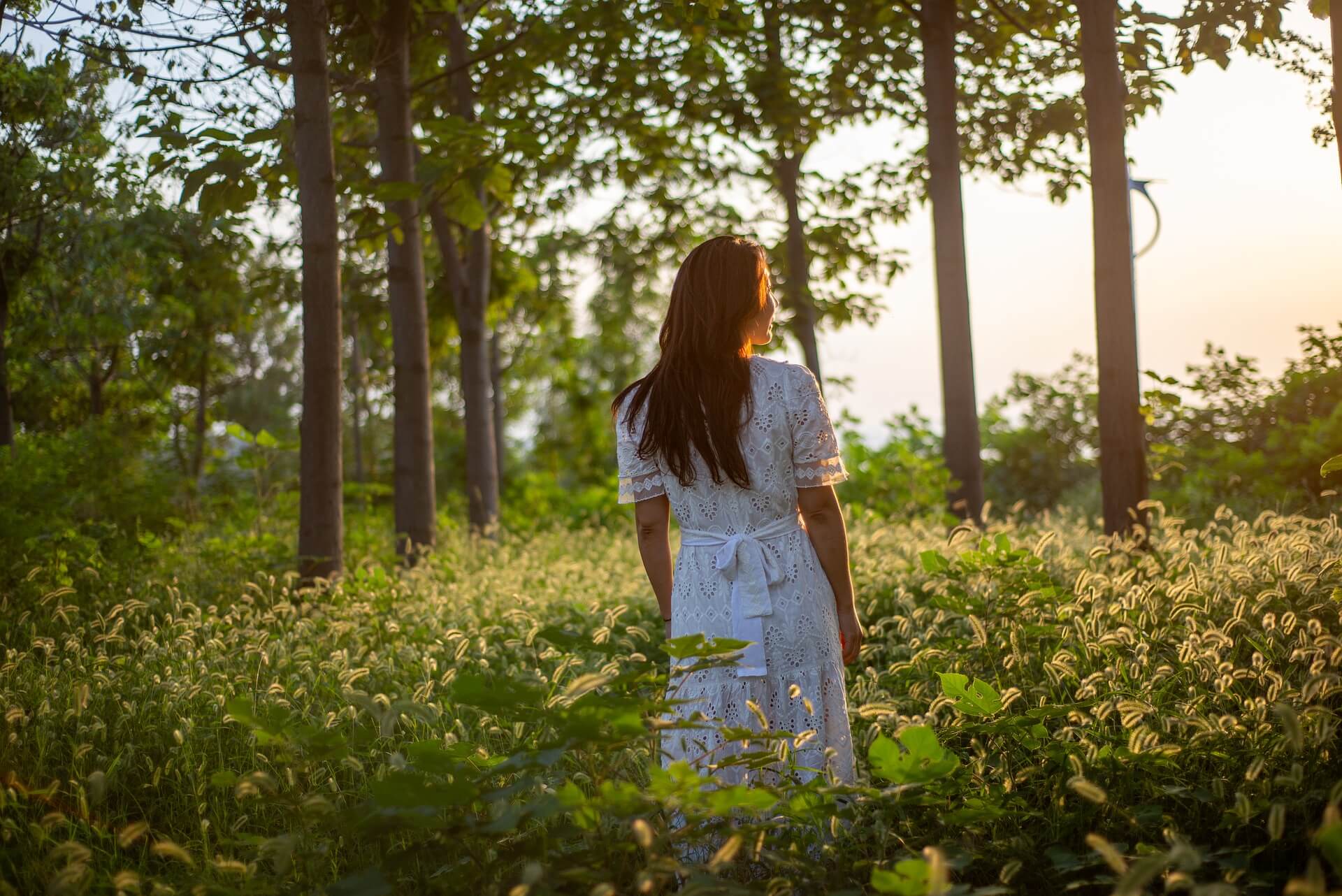 숲길 앞에서 스트레칭을 하는 남성의 뒷모습