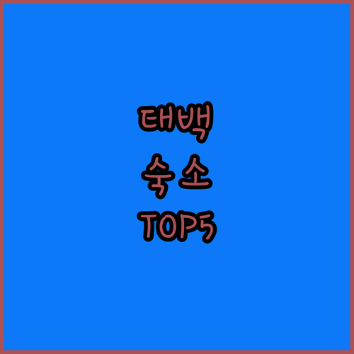 강원도 태백 숙소 추천 TOP 5 위..