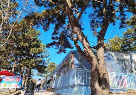 힐링해수방