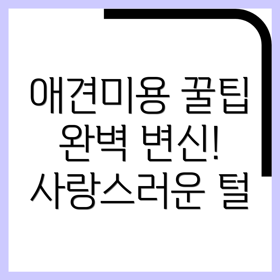 애견미용 요금표