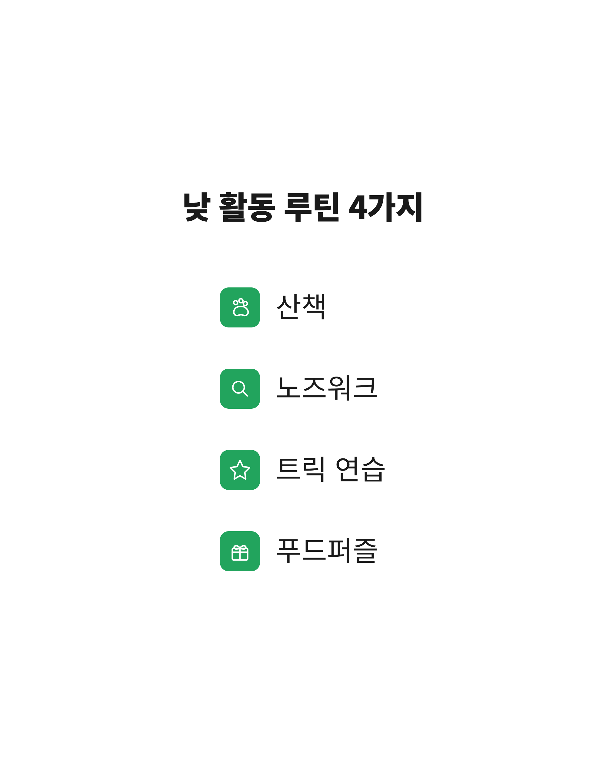 산책과 노즈워크, 트릭 연습, 푸드퍼즐로 이어지는 노령견의 낮 활동 루틴