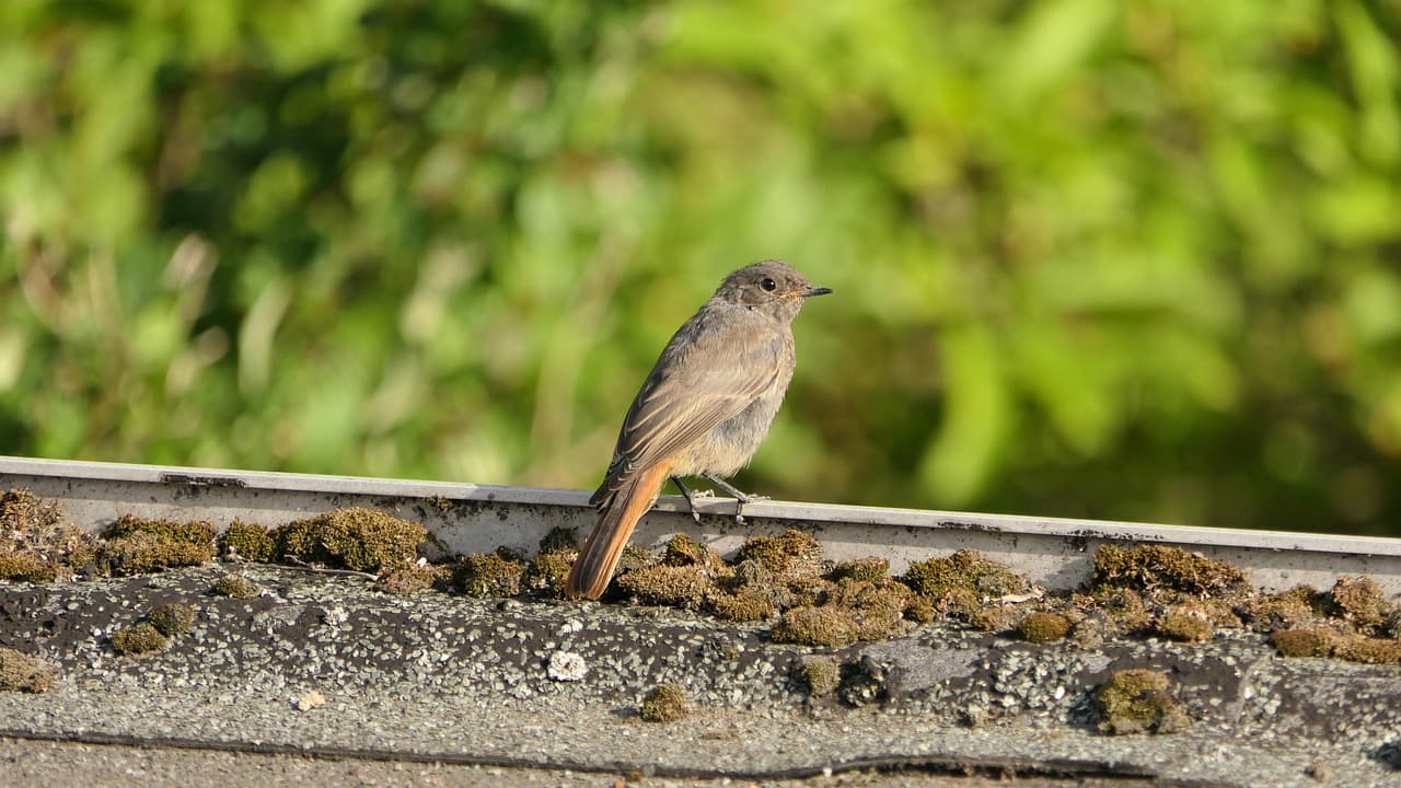 대학생을 위한 현실적인 소액 투자 가이드