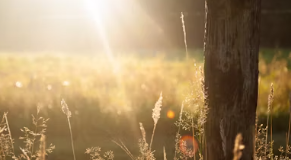 살론 대출자격 조건 신청방법