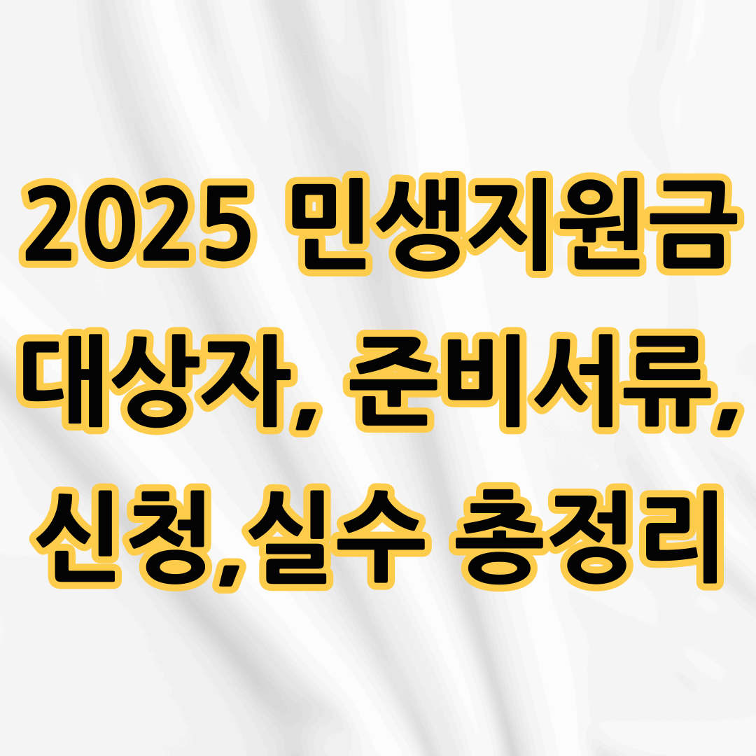 2025 민생지원금