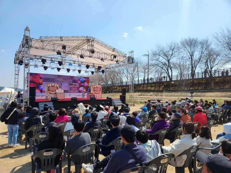 보은 벚꽃길 축제 2026 완벽 가이드