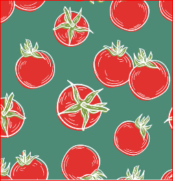 2024 율봄식물원 토마토 시즌 체험 축제 수확체험 예약하기