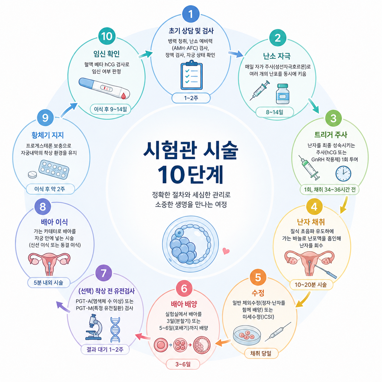 IVF 10단계를 설명한 인포그래픽