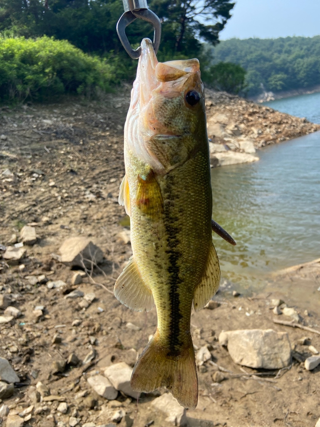 배스 낚시 사진