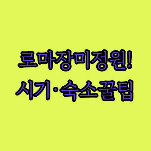 로마 장미정원 가는 법과 개방 시기 ..