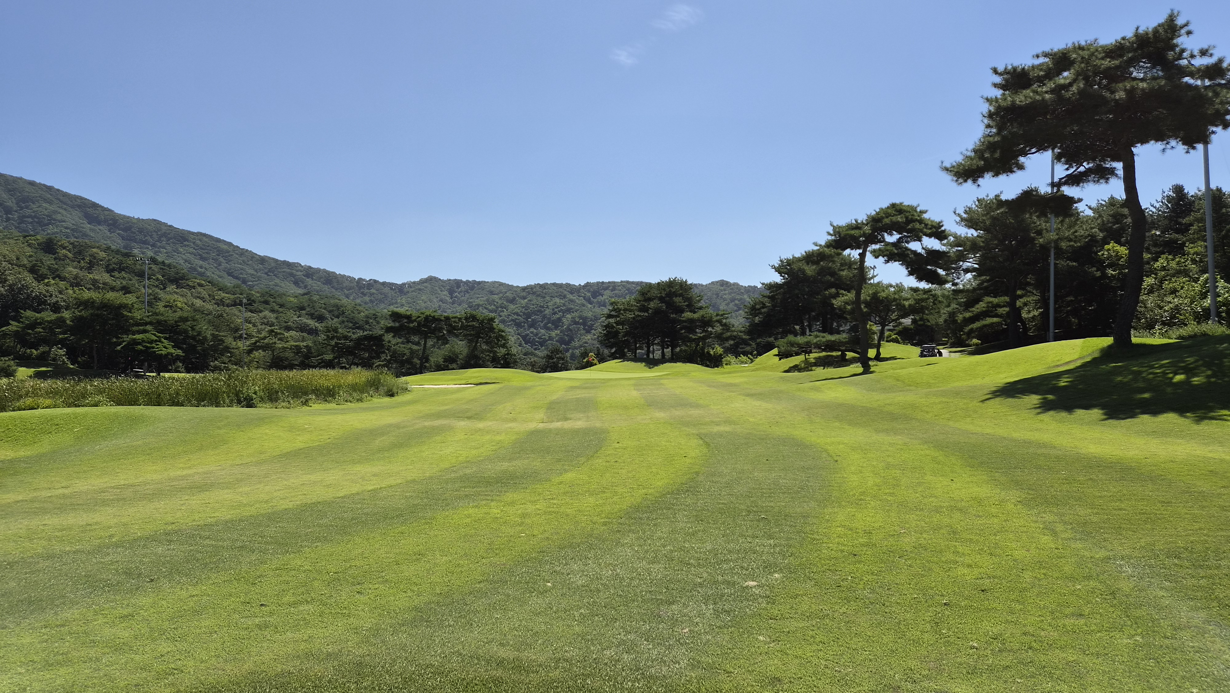 센추리21cc 파인-레이크(회원제) 코스 사진 및 공략 정보