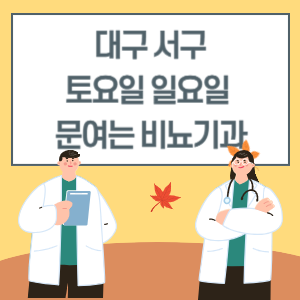 대구 서구 토요일 일요일 비뇨기과 진료 문여는 병원 리스트