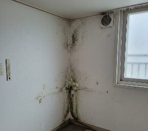 원룸 벽면 결로 현상