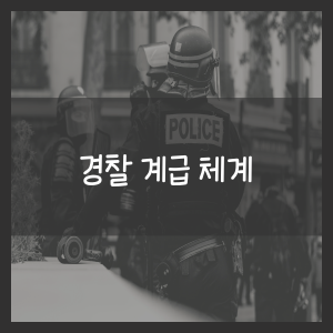 경찰 계급 체계