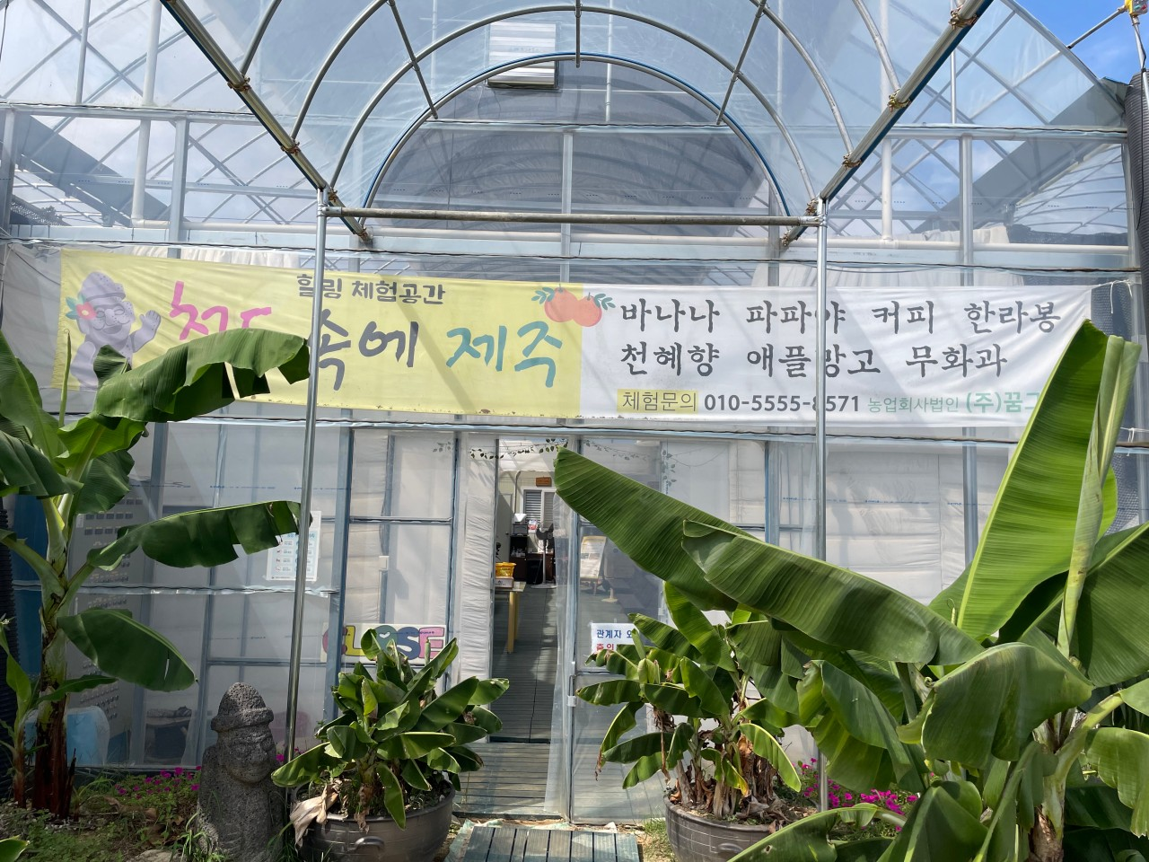 6시내고향 꿈그린농원