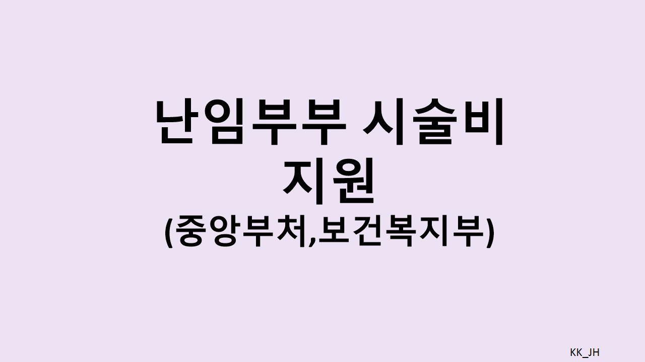 난임부부 시술비 지원