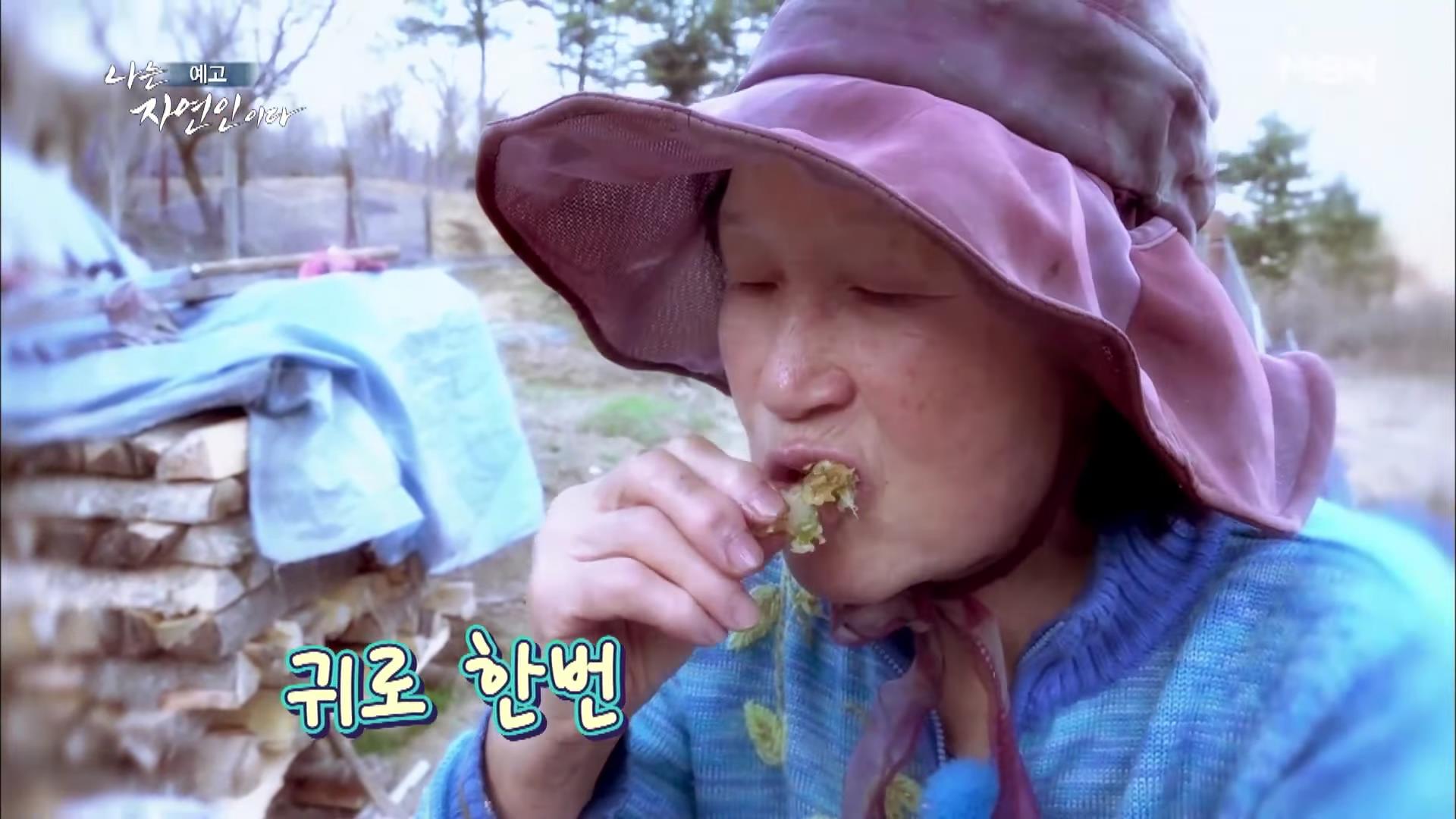 나는 자연인이다 100년 집 머위꽃 튀김 달래무침 개복숭아 고추장 황태 북어 구이 고립무원의 자유 자연인 서옥선 소개 및 윤택 출연 549회 다시보기