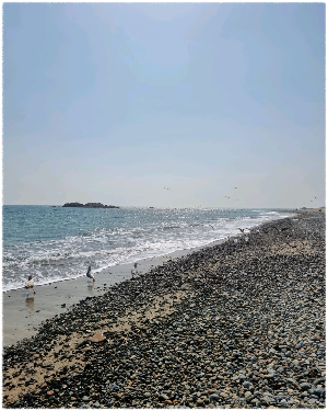 봉길대왕암해변