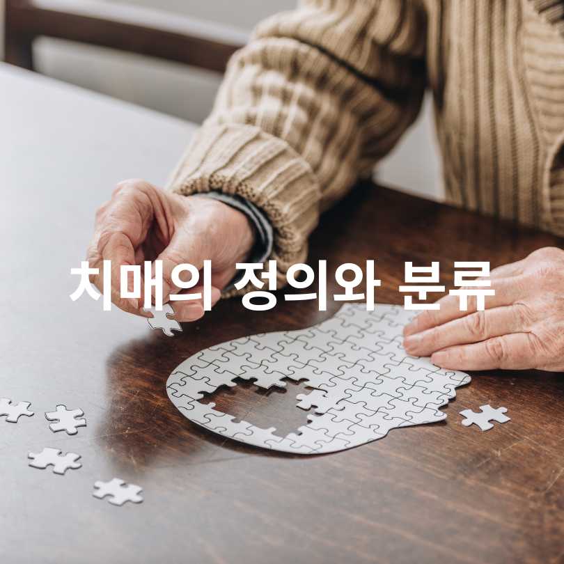 알츠하이머 치매와 혈관성 치매의 차이점