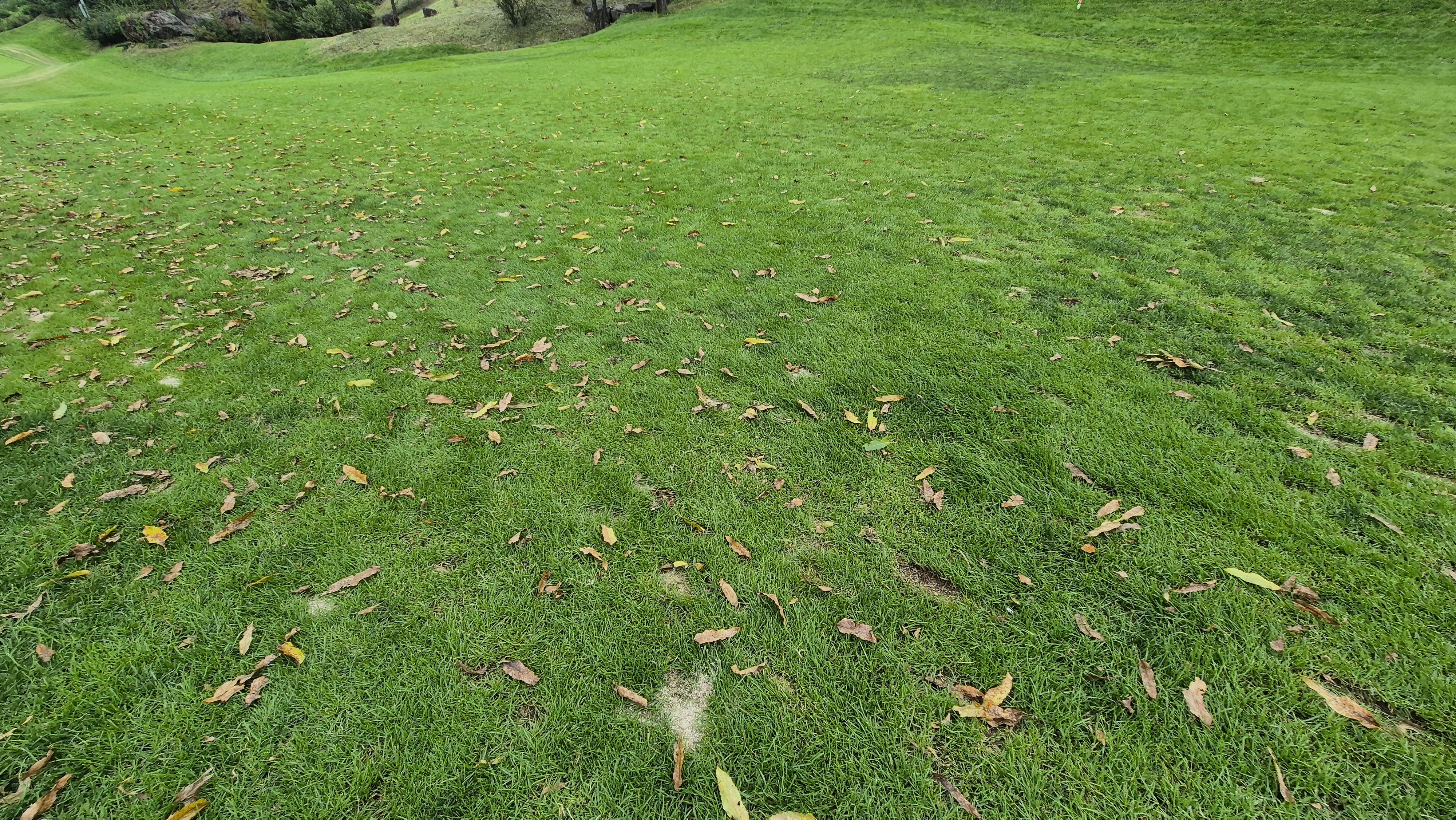 블랙스톤 벨포레cc 코스 난이도