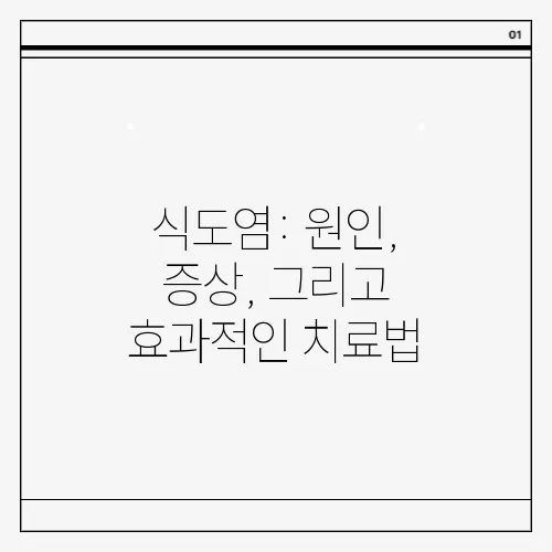 식도염: 원인, 증상, 그리고 효과적인 치료법