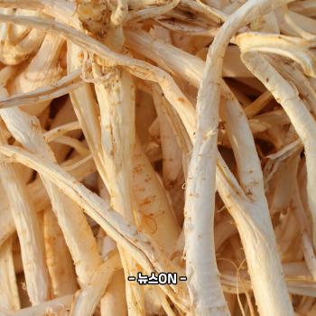 추석 나물 종류