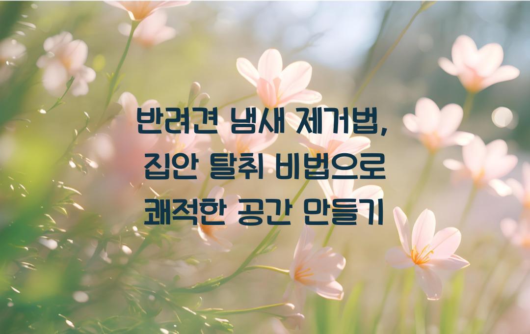 반려견 냄새 제거법, 집안 전체 탈취 노하우