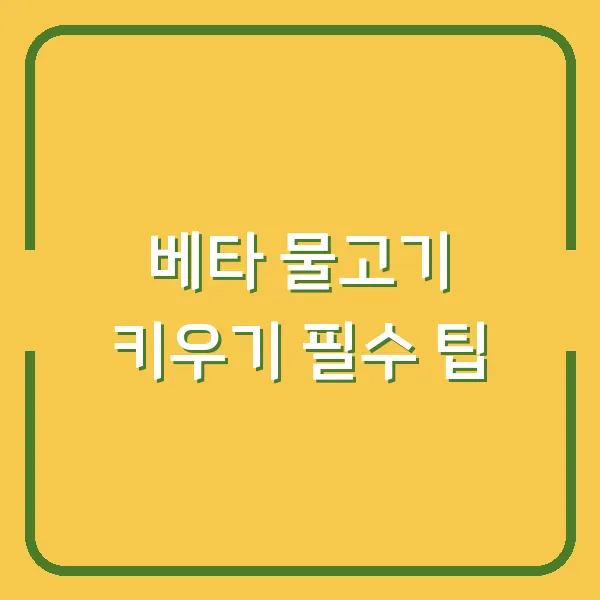 베타 물고기 키우기 필수 팁