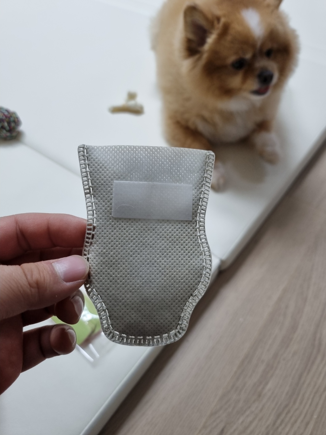 강아지 산책신발 상단면