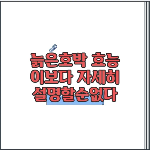 늙은호박 효능 이보다 자세히 설명할순없다