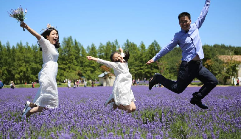 2024 하늬팜 라벤더축제 기간 입장료 가는길 주차장