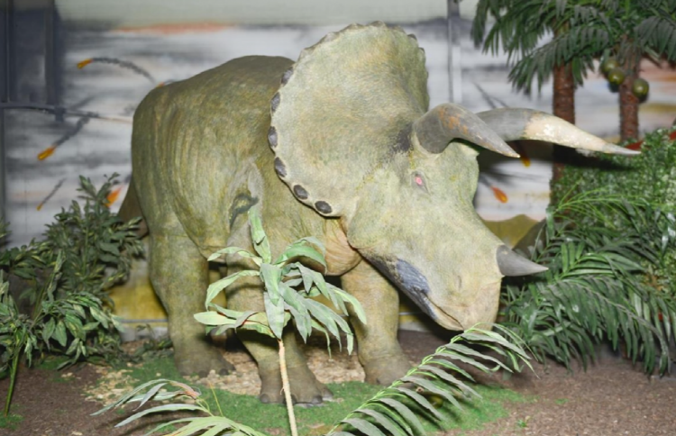 덕평 공룡수목원