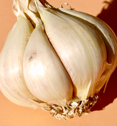 마늘 효능 효과 부작용 당뇨 혈관 건강