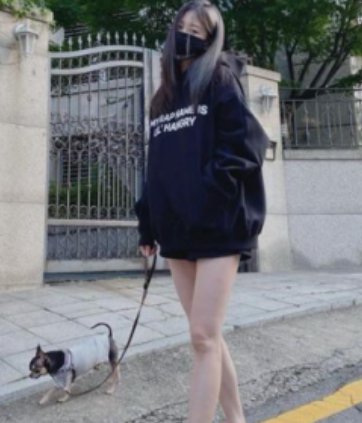 한예슬 강아지 호텔