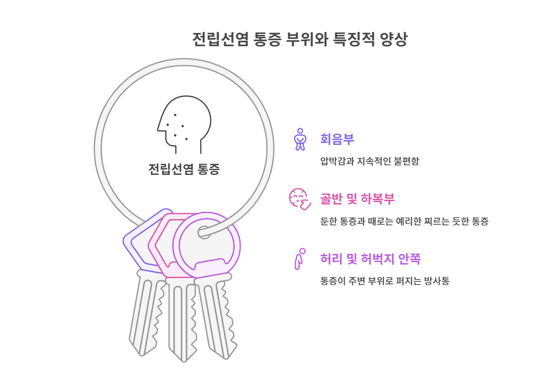 전립선염 통증 부위와 특징적 양상