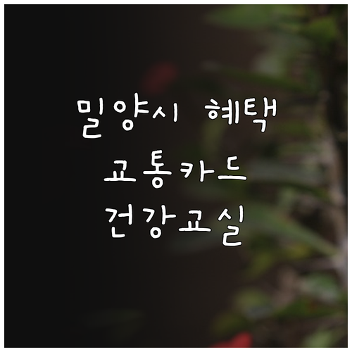 밀양시 임신·출산 지원 2025 교통..